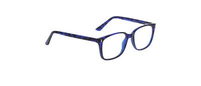 OG 7013